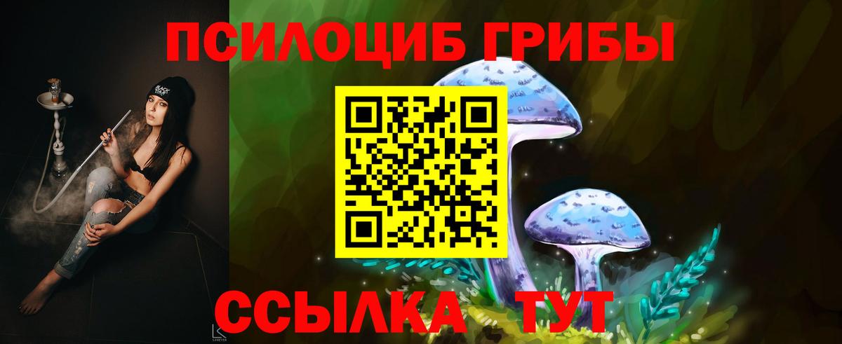 Псилоцибиновые грибы MAGIC MUSHROOMS  Псилоцибиновые грибы Psilocybe  Воскресенск  Вход с VPN 